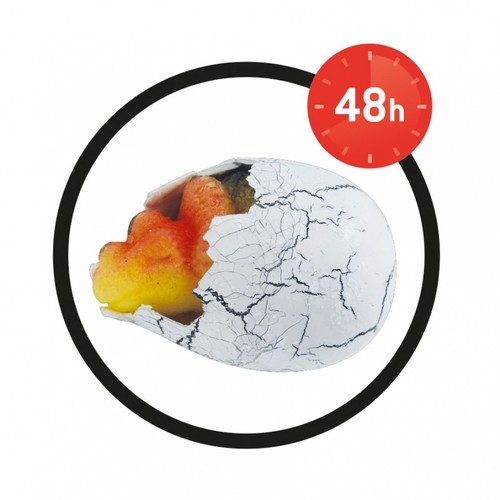 ביצת קסם עם דינוזאור דגם Magic Dino Egg