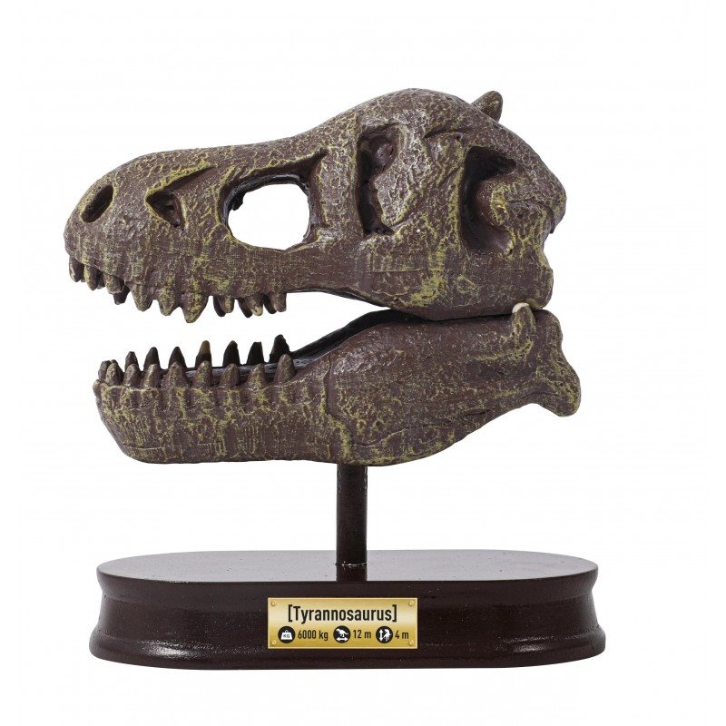 ערכת ארכיאולוגיה בצורת גולגולת טי-רקס דגם Dino Skull Tyrannosaurus