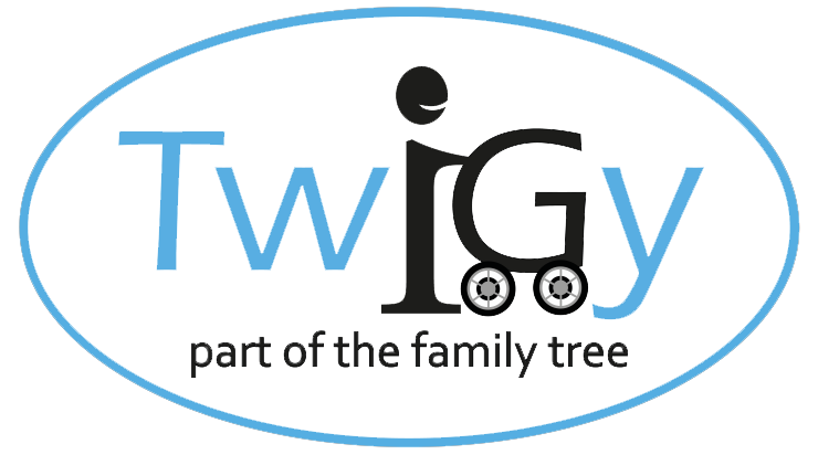 טוויגי | Twigy